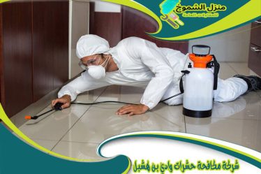 شركة مكافحة حشرات وادي بن هشبل