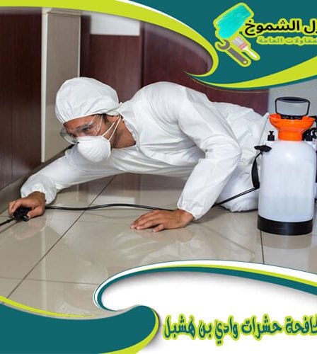شركة مكافحة حشرات وادي بن هشبل