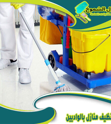 شركة تنظيف منازل بالواديين