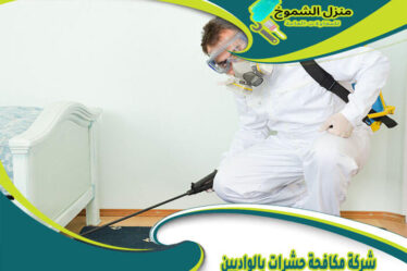 شركة مكافحة حشرات بالواديين
