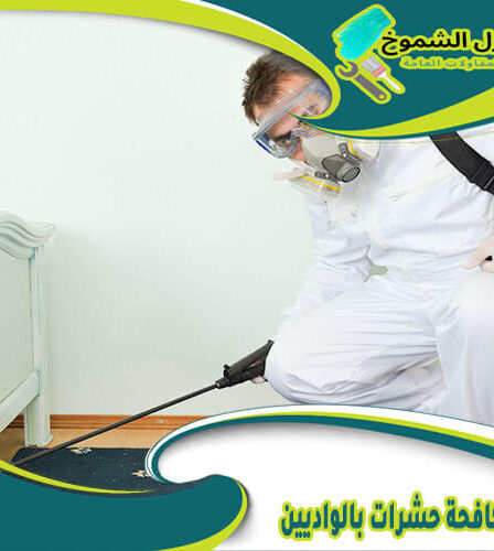 شركة مكافحة حشرات بالواديين
