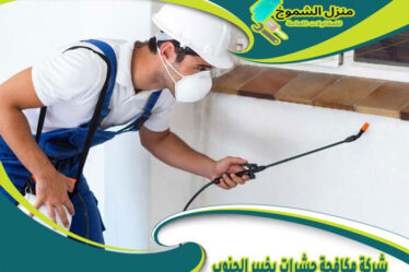شركة مكافحة حشرات بخيبر الجنوب