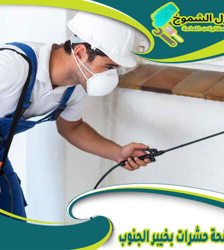 شركة مكافحة حشرات بخيبر الجنوب