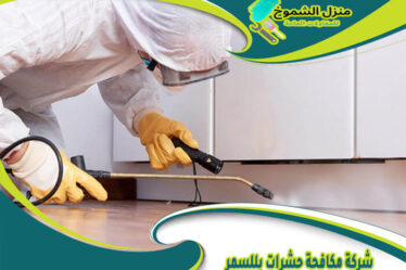 شركة مكافحة حشرات بللسمر