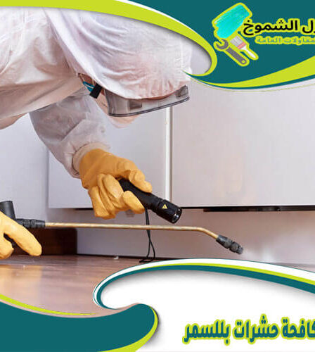 شركة مكافحة حشرات بللسمر