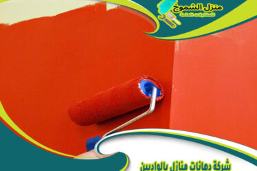 شركة دهانات منازل بالواديين