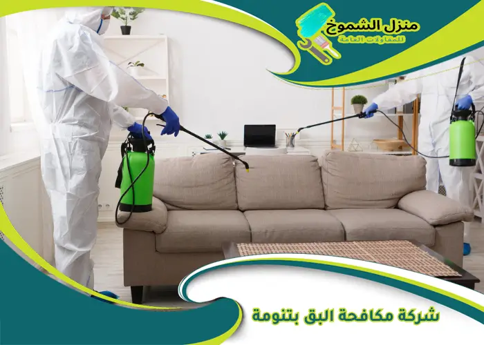 شركة مكافحة البق بتنومة