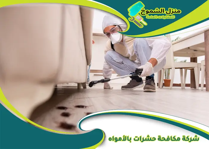 شركة مكافحة حشرات بالأمواه