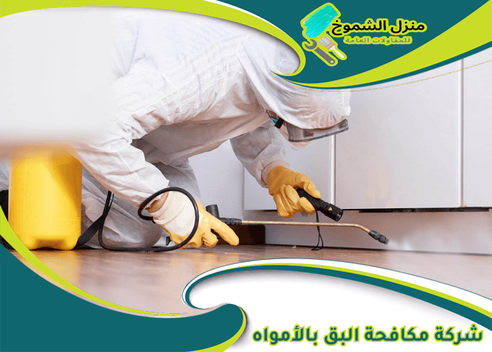 شركة مكافحة البق بالأمواه