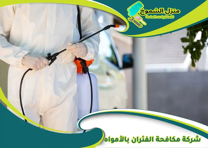 شركة مكافحة الفئران بالأمواه