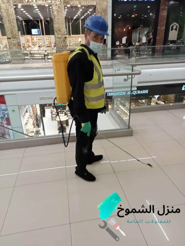 شركة-مكافحة-حشرات